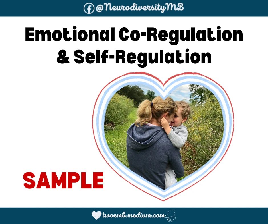 Emotional Co Regulation Self Regulation